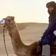 Camel, Warren Beatty, Dustin Hoffman (Screenshot: Ishtar)